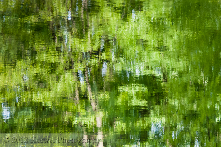 Reflections in green