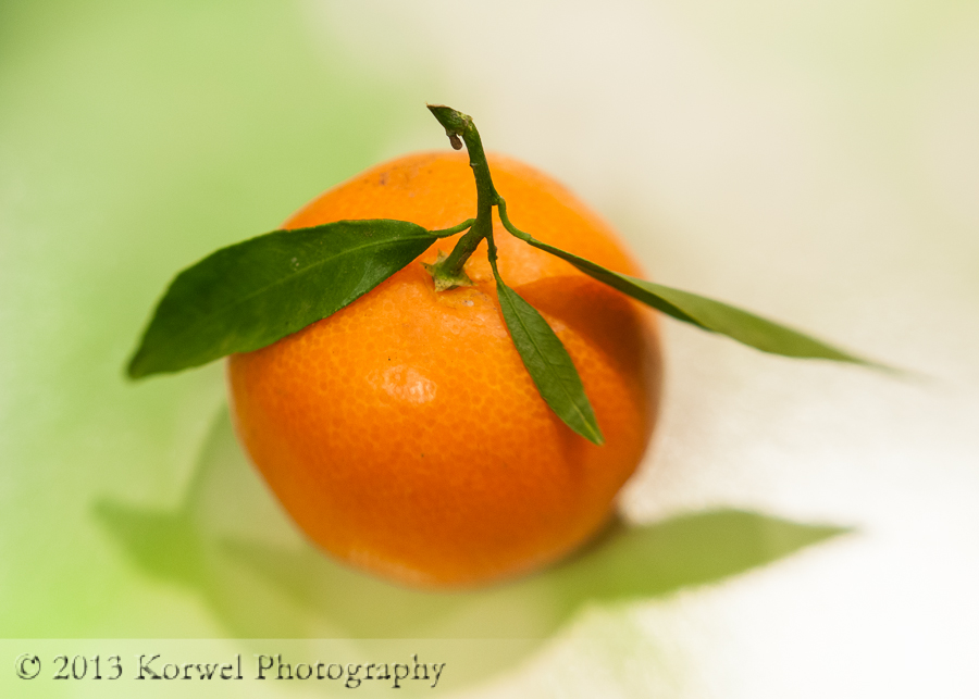 Cure orange fruit with green leaves