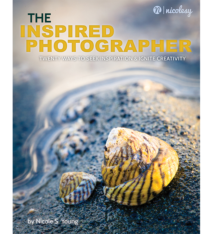 cover_inspired_photog_1024x1024