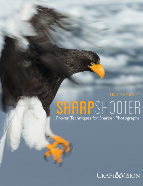 sharpshootercover-500