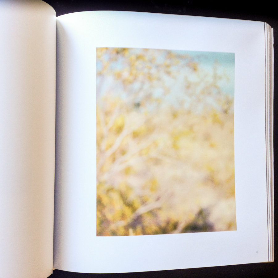 Page 77 from from Uta Barth "The long now"